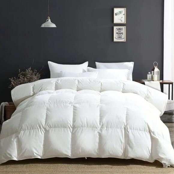 APSMILE European Goose Down Comforter King Size - Picture 1 of 8